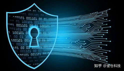 Web3.0、IPFS與Filecoin的協同演進 信息系統集成服務的視角